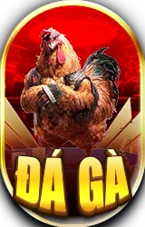 Đá gà thumb